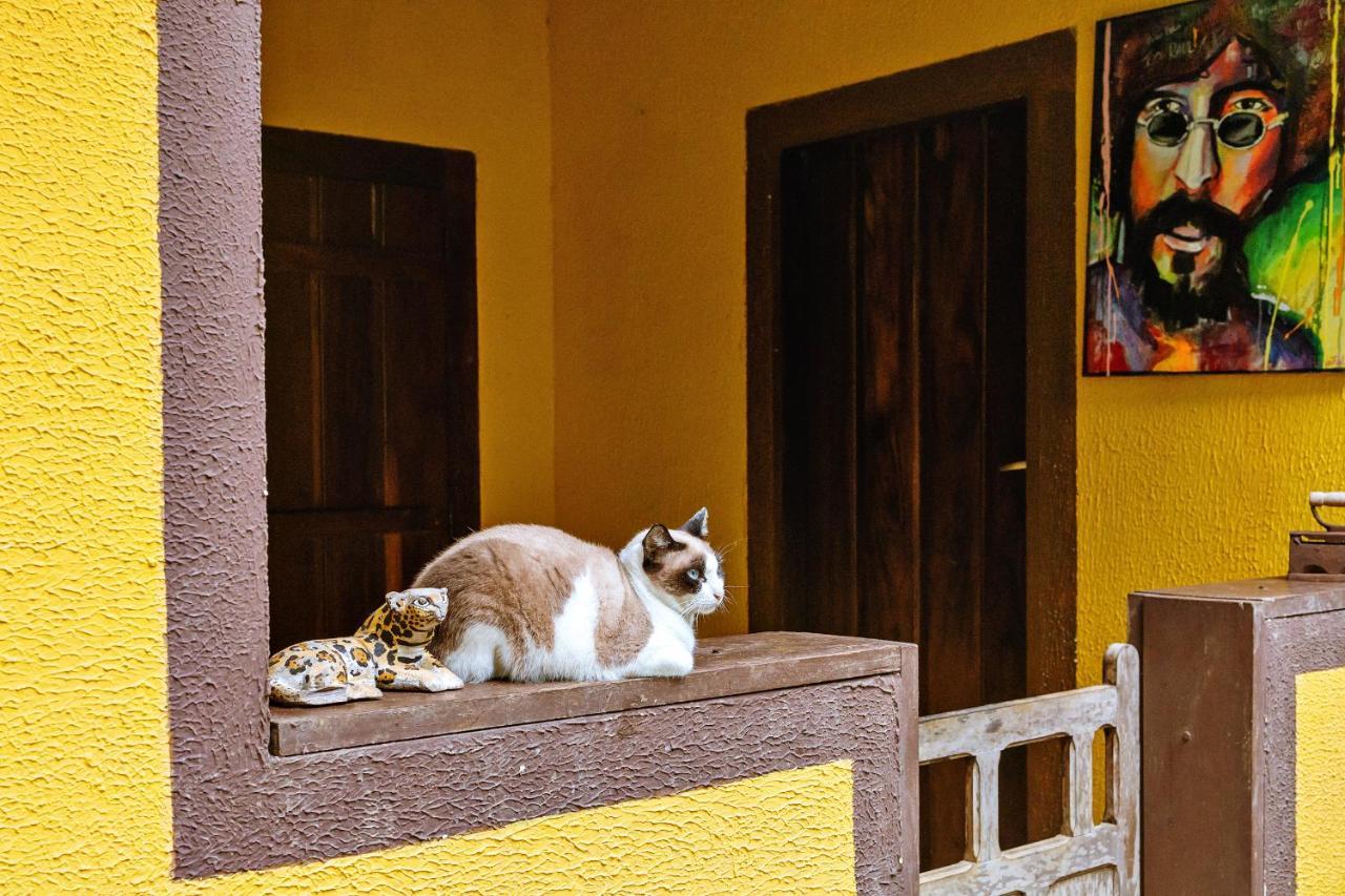 Chales Sol Araquari Dış mekan fotoğraf