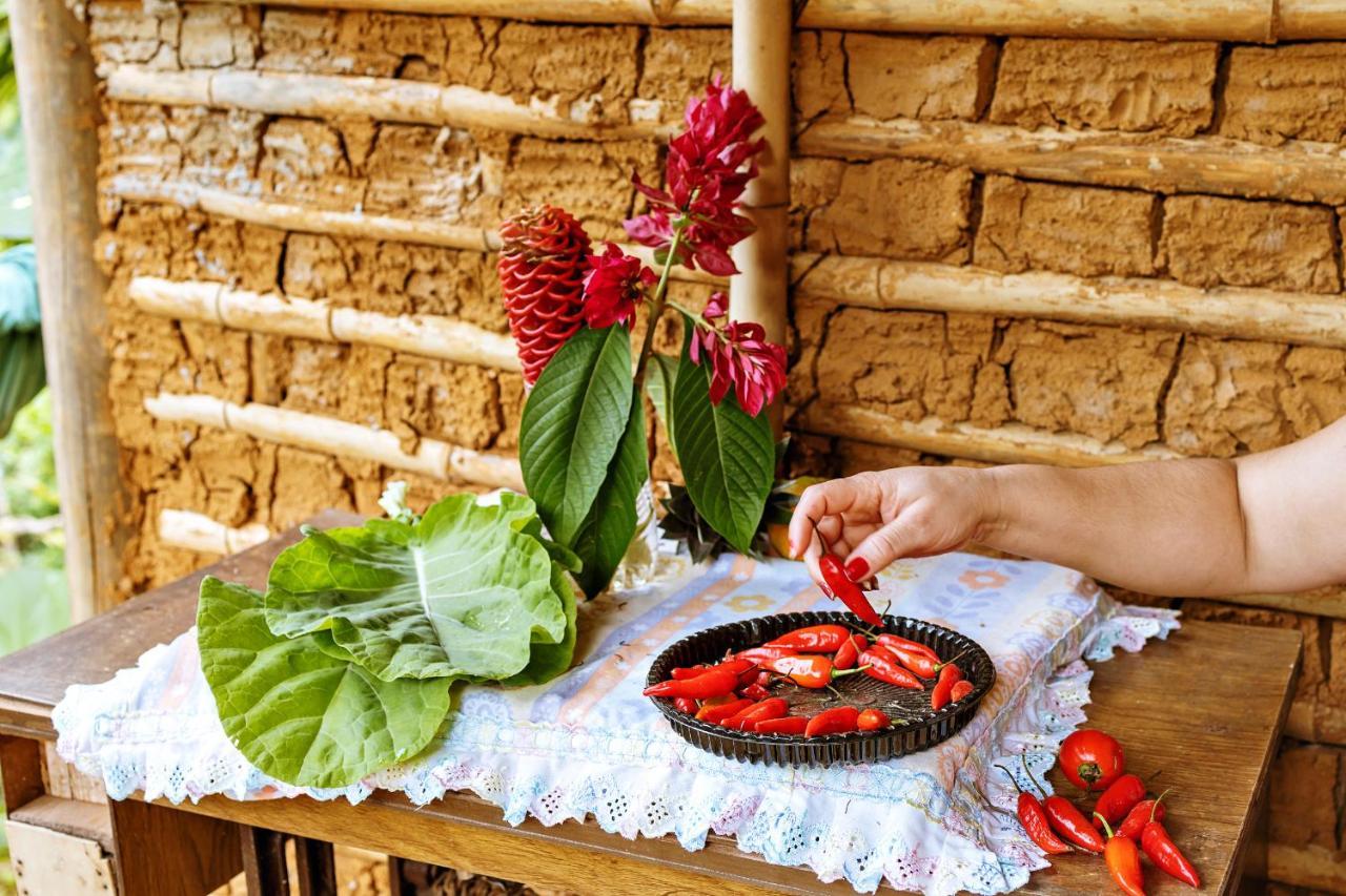 Chales Sol Araquari Dış mekan fotoğraf